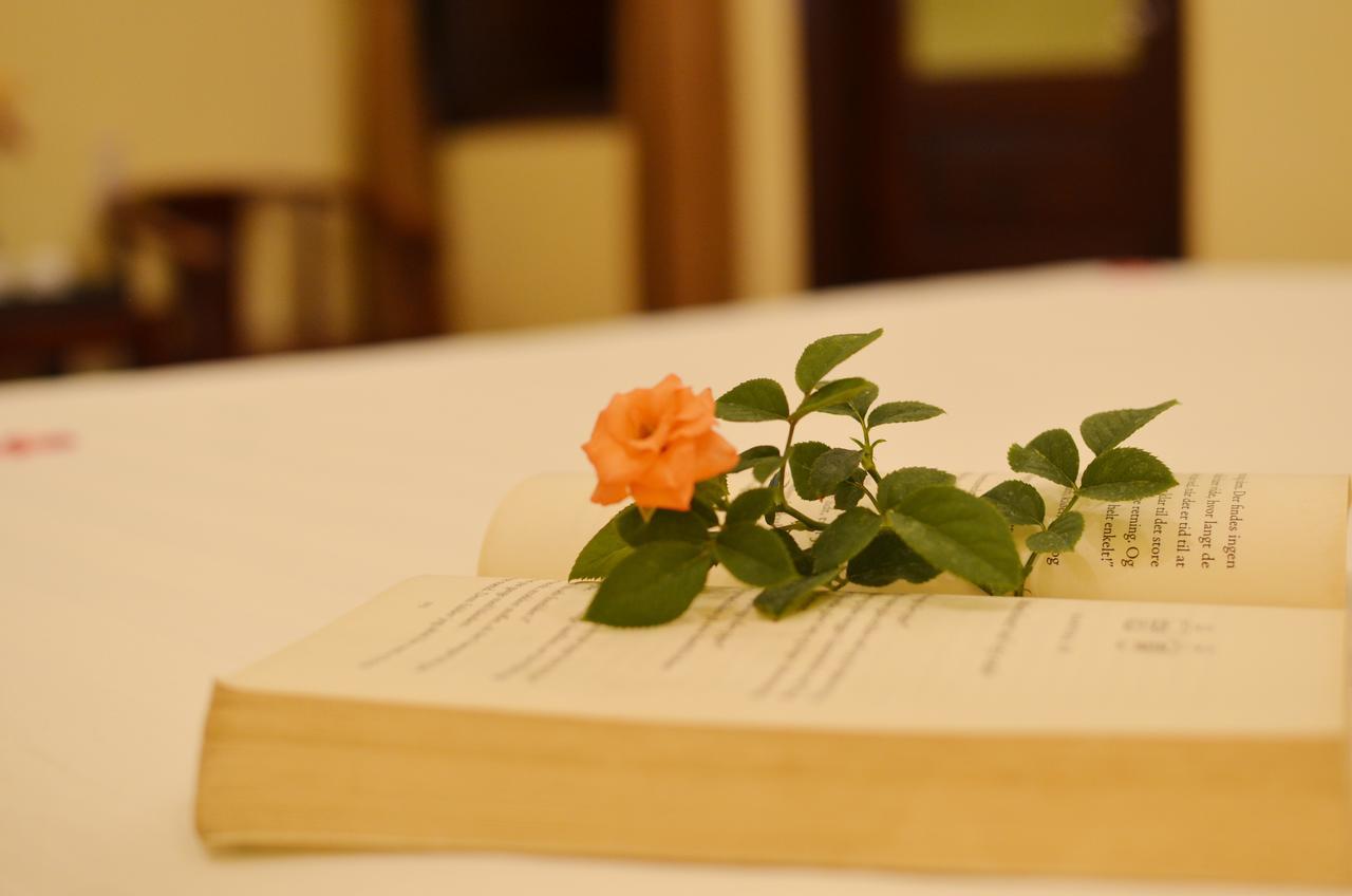 Panda Garden Homestay Хой Ан Екстериор снимка