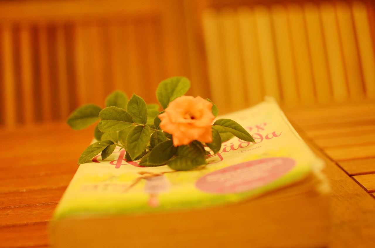 Panda Garden Homestay Хой Ан Екстериор снимка